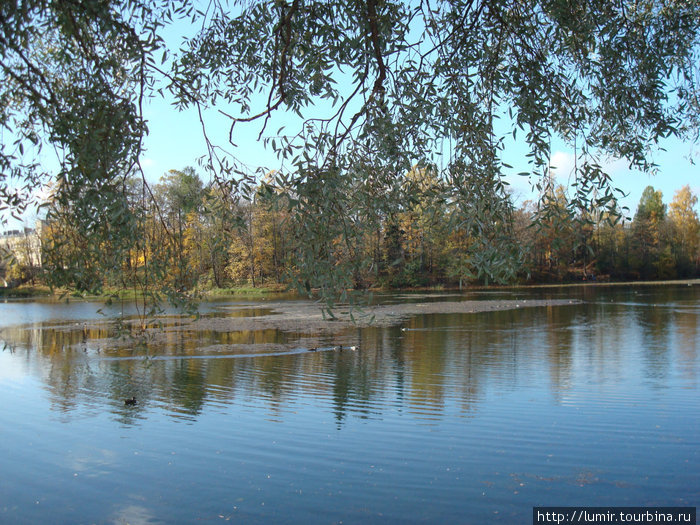 Гатчина Гатчина, Россия