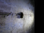 В одном из тоннелей  находим летучих мышей.