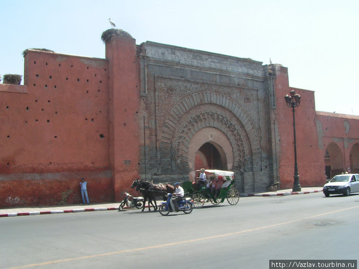 Ворота и аист над ними Марракеш, Марокко