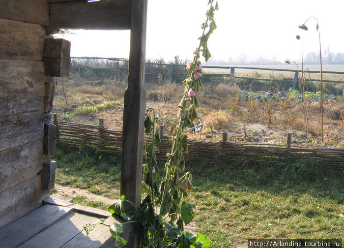 Каляда, красные петухи... мазанки и прочее Киевская область, Украина
