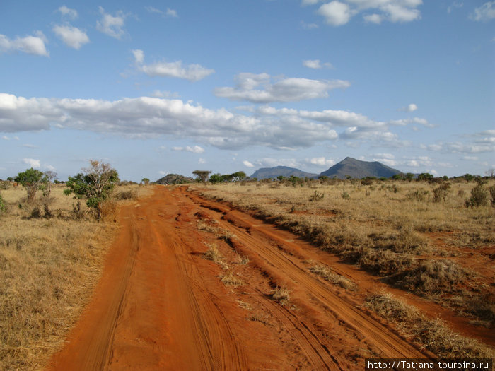 Африканские дороги