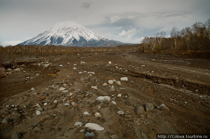 Камчатка, осень 2009 Камчатский край, Россия