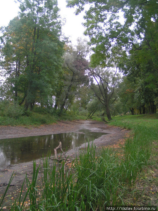 У воды Стрельна, Россия