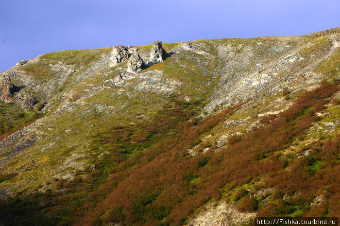 За 67 параллелью. Воркута, Россия