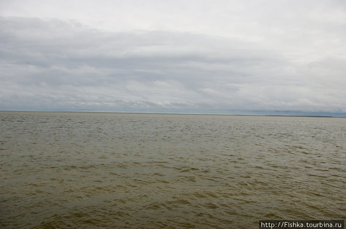 БАйдарацкая губа Карского моря. Вдали — полуостров Ямал