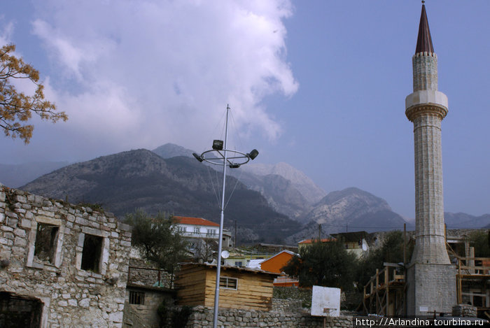 Антибвреос-Зета-Бар, родина двухтысячелетней оливы Область Бар, Черногория