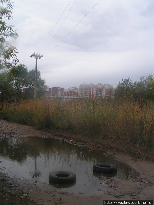 Местный пейзаж Стрельна, Россия