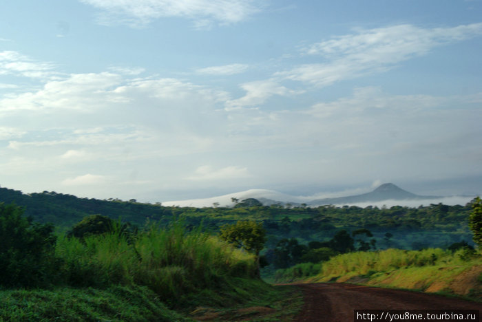 а в глазах африка Рвензори Маунтинс Национальный Парк, Уганда