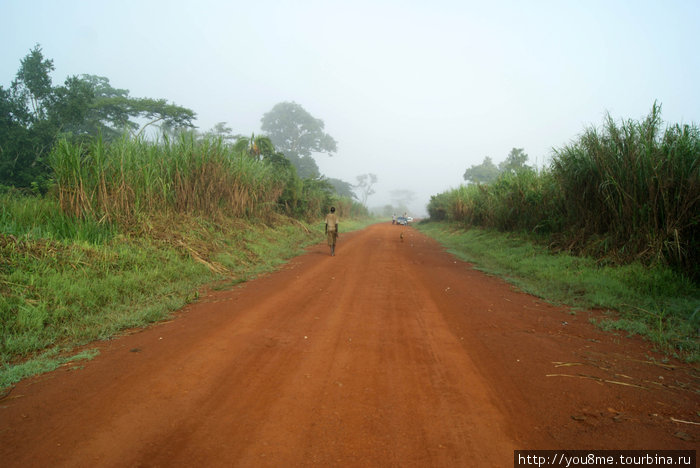 красная дорога Рвензори Маунтинс Национальный Парк, Уганда