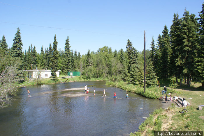 Летний день в Campbell Creek Park Анкоридж, CША