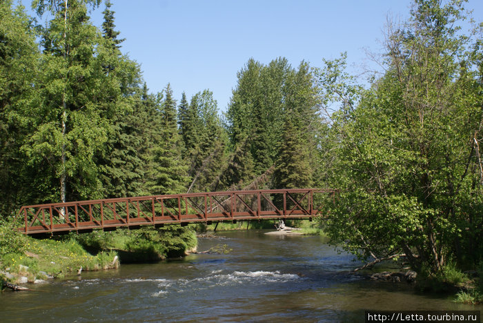 Летний день в Campbell Creek Park Анкоридж, CША