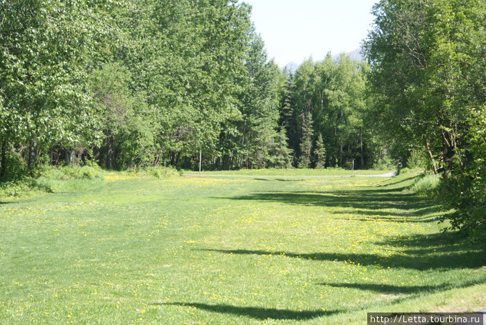 Летний день в Campbell Creek Park Анкоридж, CША