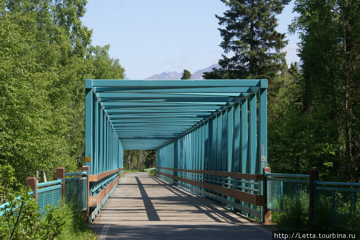 Летний день в Campbell Creek Park Анкоридж, CША