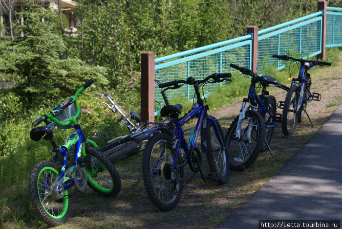 Летний день в Campbell Creek Park Анкоридж, CША