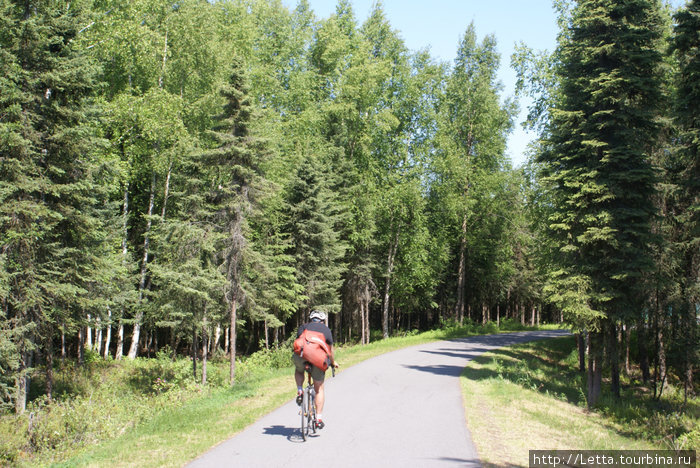 Летний день в Campbell Creek Park Анкоридж, CША