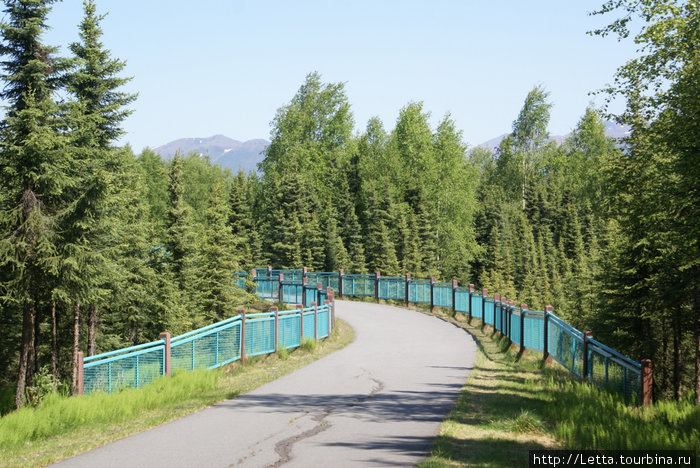 Летний день в Campbell Creek Park Анкоридж, CША