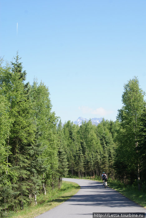 Летний день в Campbell Creek Park Анкоридж, CША