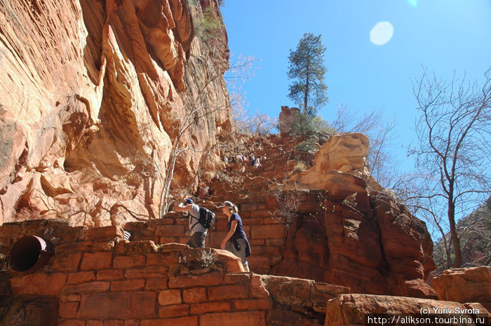 Серантин по пути на Angels Landing. Национальный парк Зион, CША