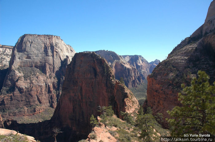 Это Angels Landing (горка по центру). Национальный парк Зион, CША