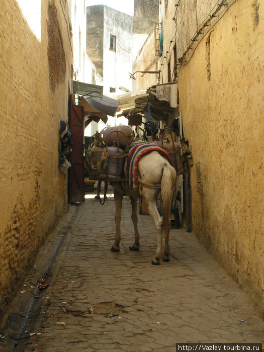 Транспортное средство Фес, Марокко