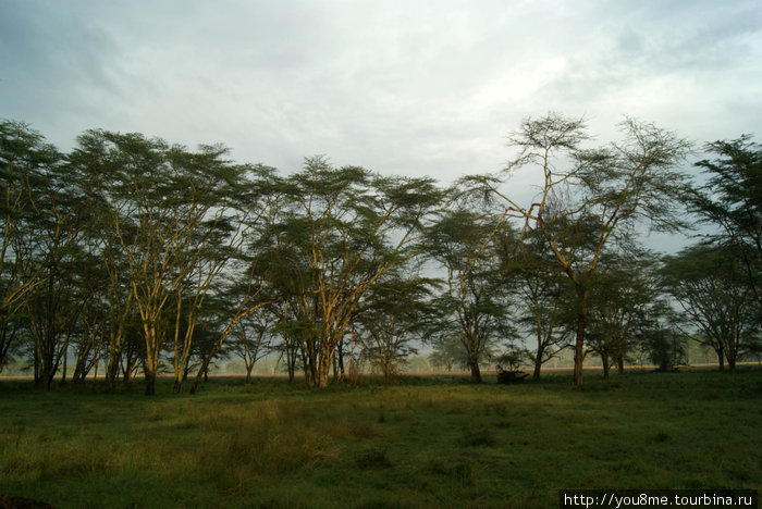 Кения Провинция Найроби, Кения