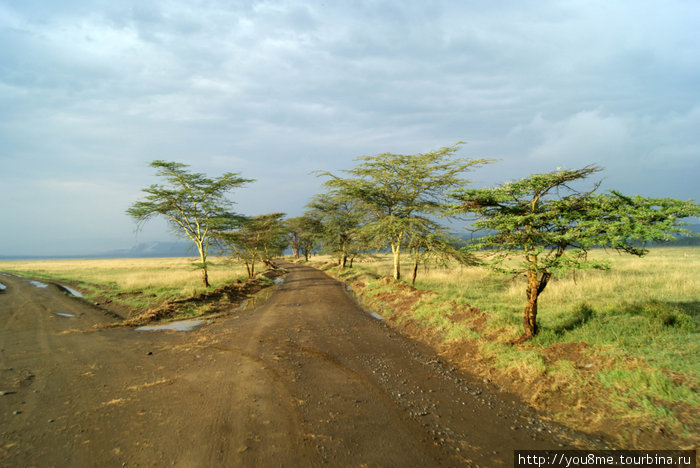 дороги Провинция Найроби, Кения