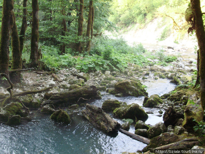 Горы,ущелья,водопады! Ачандара, Абхазия