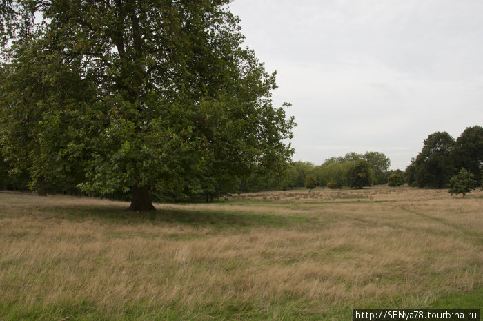 Hyde park Лондон, Великобритания