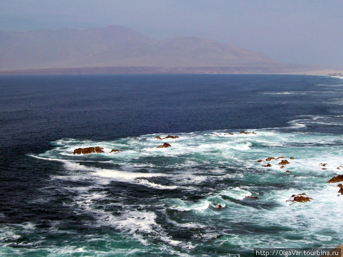 Тихоокеанское побережье Антофагаста, Чили