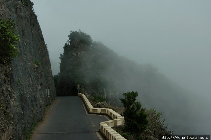 Дороги Анаги. Этот туман — облака. Остров Тенерифе, Испания