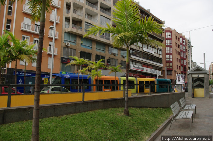 Столичный трамвай, претендующий на звание метро. Остров Тенерифе, Испания