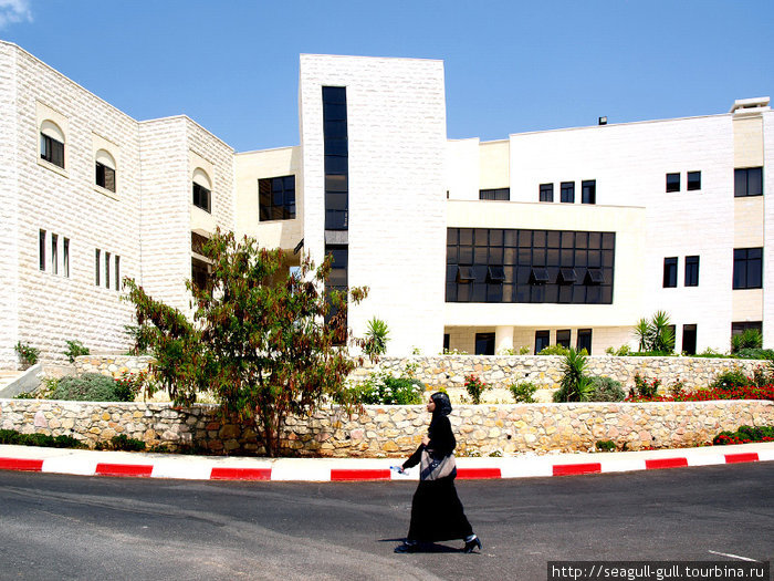 Самый умный в ПА: Бирзейтский университет Рамалла, Палестина