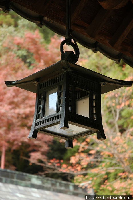 Осенняя прогулка к святилищу Котохира Котохира, Япония