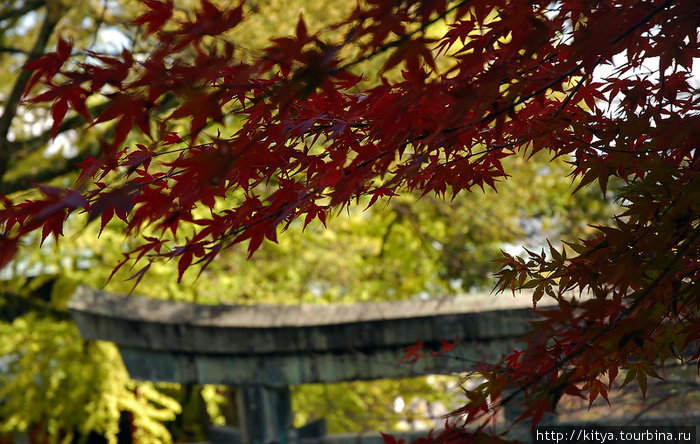 Осенняя прогулка к святилищу Котохира Котохира, Япония