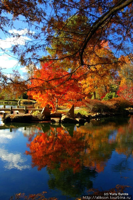 Японский сад в Мэймонте. Ричмонд, CША