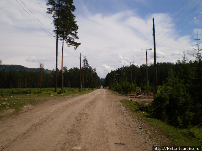 Дорога к детскому лагерю Лебедь Турочак, Россия