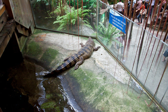 Manila Ocean Park Манила, Филиппины