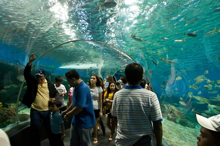 Manila Ocean Park Манила, Филиппины