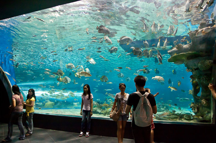 Manila Ocean Park Манила, Филиппины