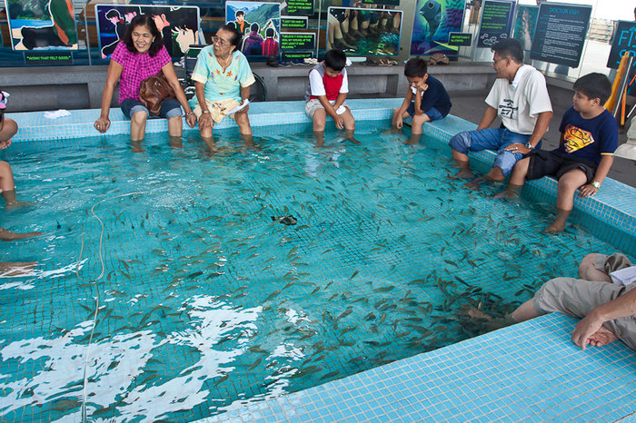 Manila Ocean Park Манила, Филиппины