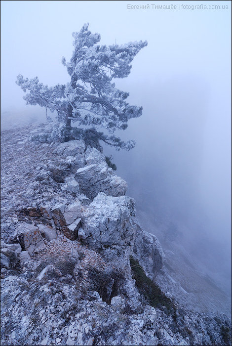 Ай-Петри, Крым Республика Крым, Россия