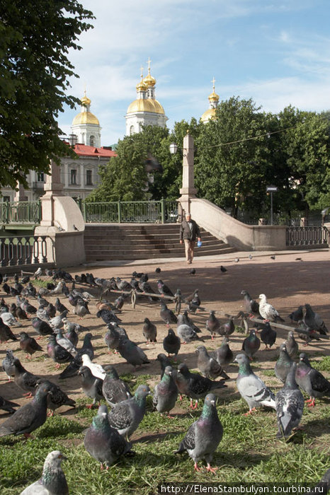 Санкт-Петербург Санкт-Петербург, Россия