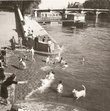 Пляж у Нового Моста. Дети и собаки барахтаются в Сене с наступлением теплых дней 1935-ого.