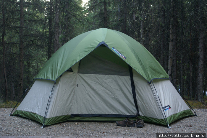 Пора спать Национальный парк Денали, CША