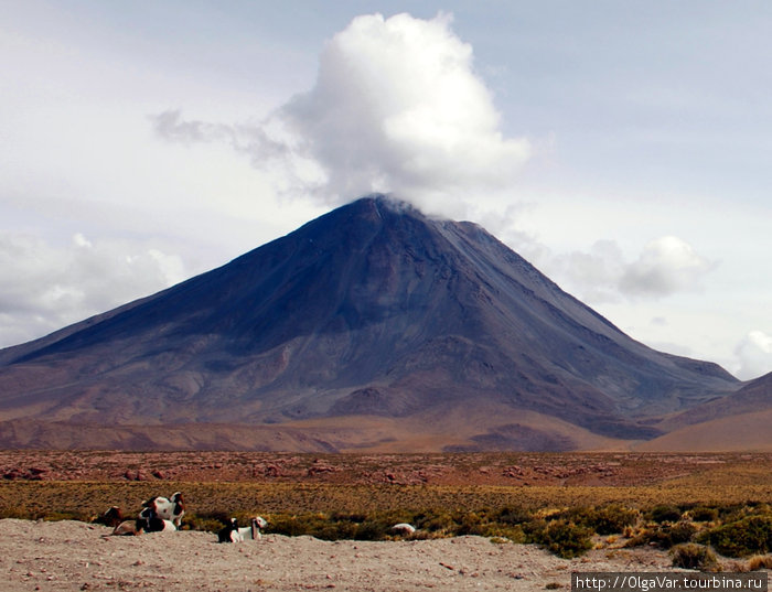 Вулкан Ликанкабур — «народный холм».
Место обнаружения мумий древних атокамцев Сан-Педро-де-Атакама, Чили