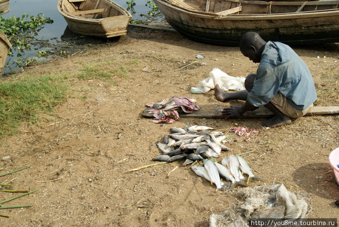 работа рыбака Озеро Альберт, Уганда