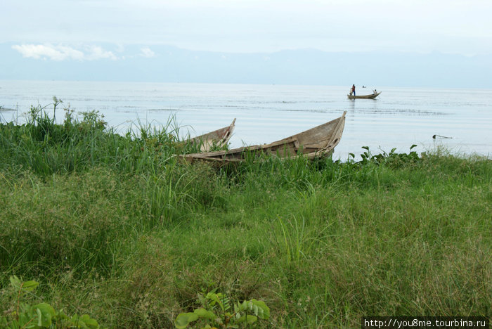 на той стороне — Конго, точнее ДР Конго Озеро Альберт, Уганда