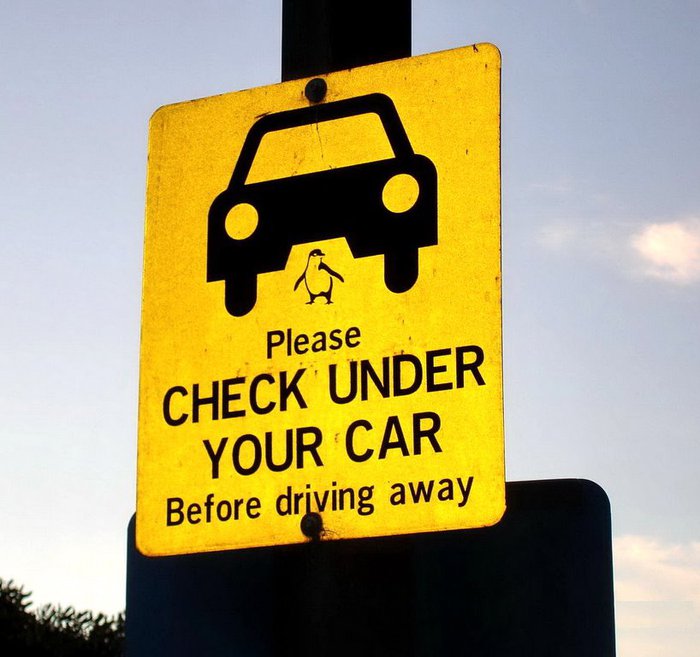 вот такой любопытный знак висит на парковке автомобилей Остров Филлип, Австралия