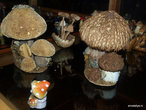 Коллекция грибов
