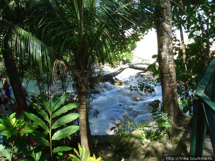 Водные приключения на Ямайке Ямайка